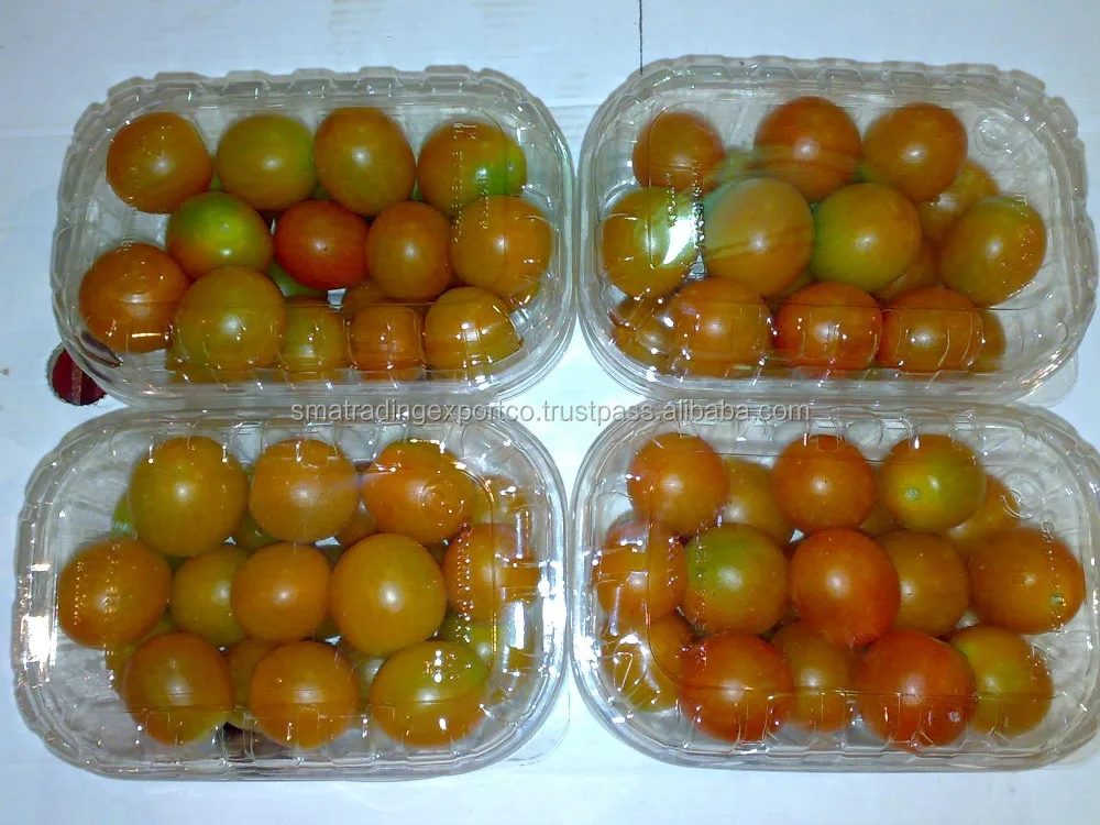 
fresh cherry tomato 