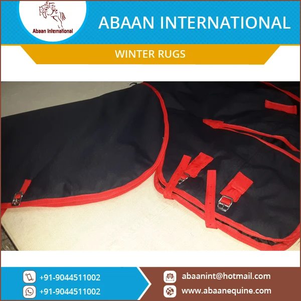 1200 Denier Outer Shell Horse Winter Rug with Adjustable Twin Chests