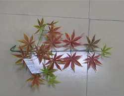 Real wood artificial maple tree with fabric leaves interior decoration bonsai trees for sale