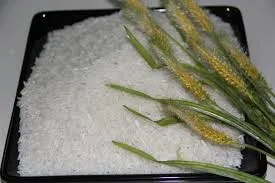 High Quality Thai Glutinous Rice 10 % Sticky Rice Origin Vietnam
