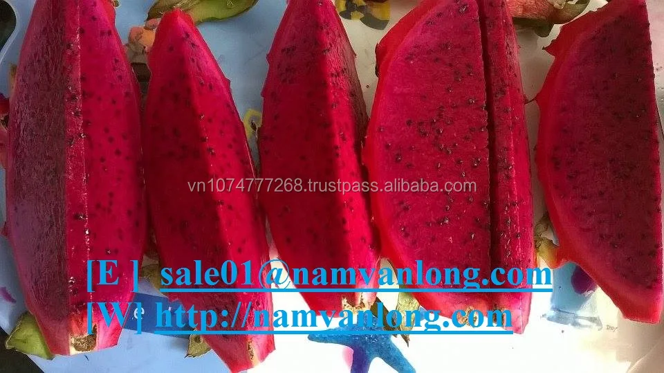 FRESH DRAGON FRUIT WITH HIGH QUALITY & THE BEST PRICE