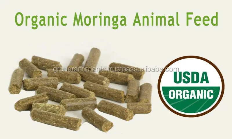 Organic Protein Powder for Poultry Feed