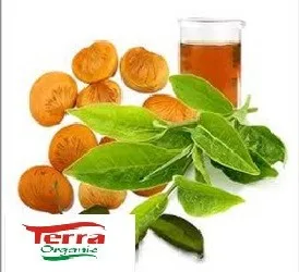 100% ORGANIC Karanja Oil obtained from karanja kernel used as fertilizer and insecticide for plants and farms