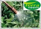 100% pure Neem oil extrated from neem kernel bu cold pressed method which can be used as Liquid Fertilizer