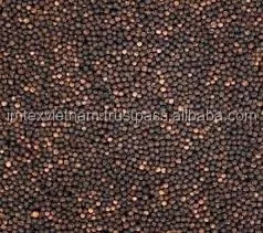 Black Pepper 550 Gr/L Good Supplier From Vietnam