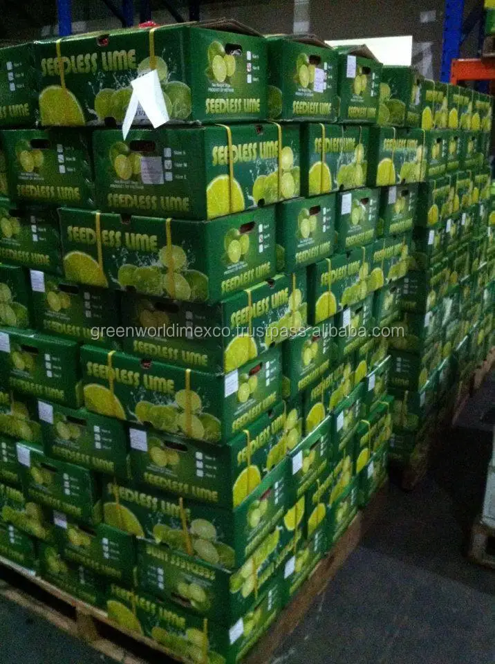 FRESH LEMON IN VIETNAM WITH LARGE QUANTITY