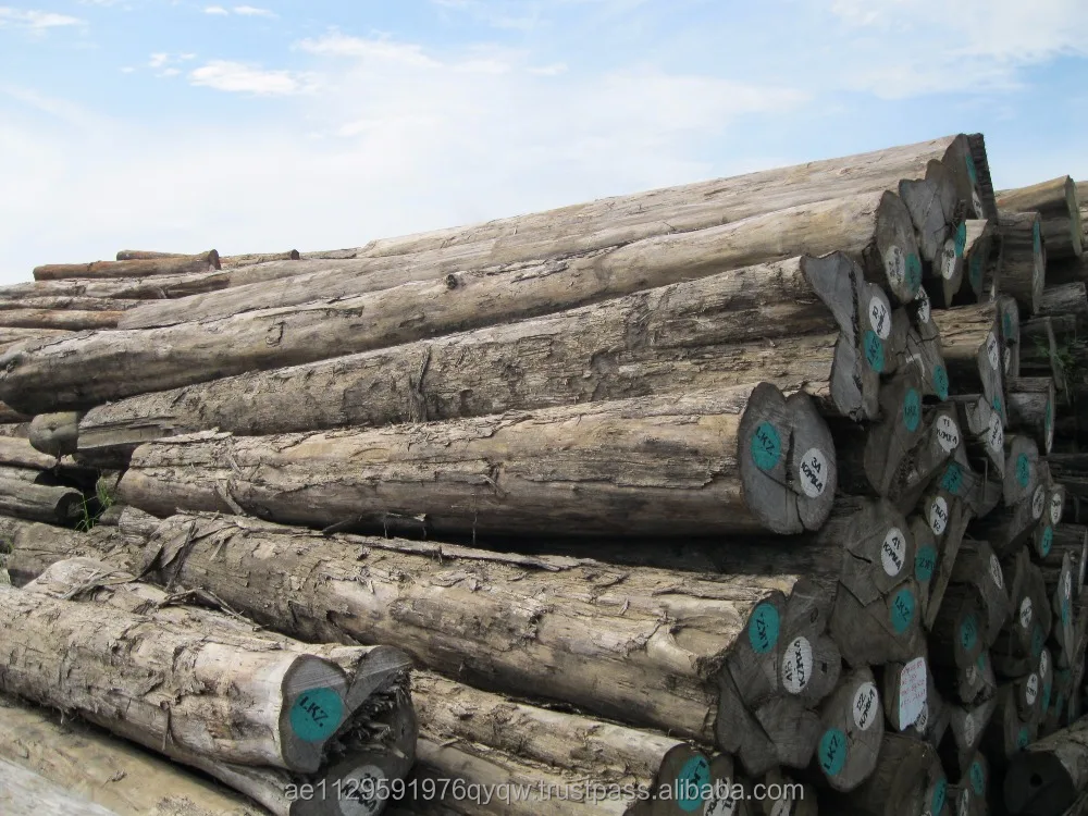 
Original Teak Logs 