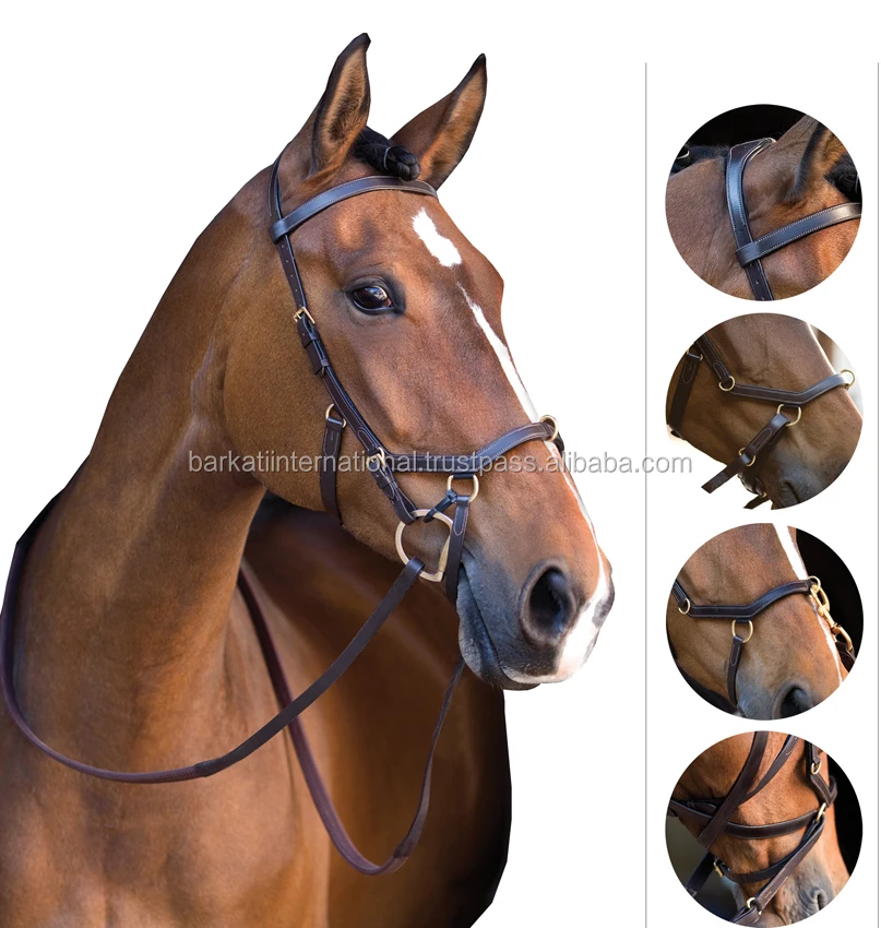 Horse Competition Micklem Bridles