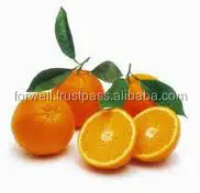 big size orange with high quality and good price with different package