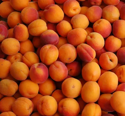 
Fresh apricots 