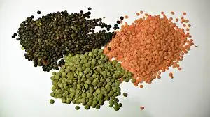 
Bulk Green And Red Quality Lentils for sale 
