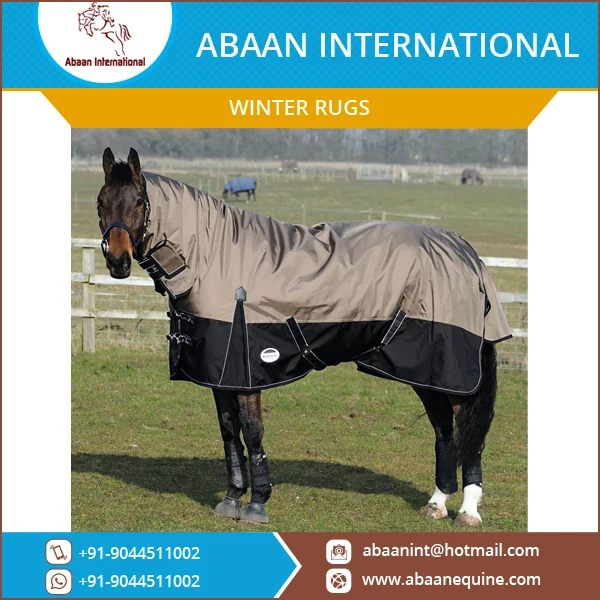 Extensive Collection of 600D Horse Winter Rug in Different Colors & Sizes
