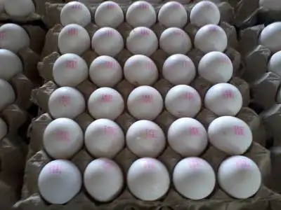 fresh Turkish White shell chicken eggs