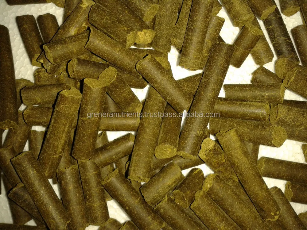 Organic Protein Powder for Poultry Feed