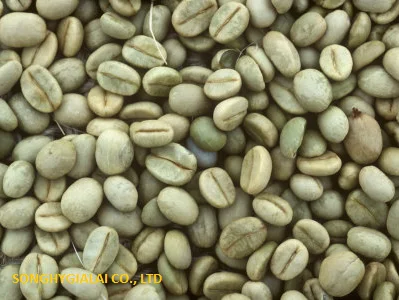  Кофе в зернах ROBUSTA вьетнамское производство