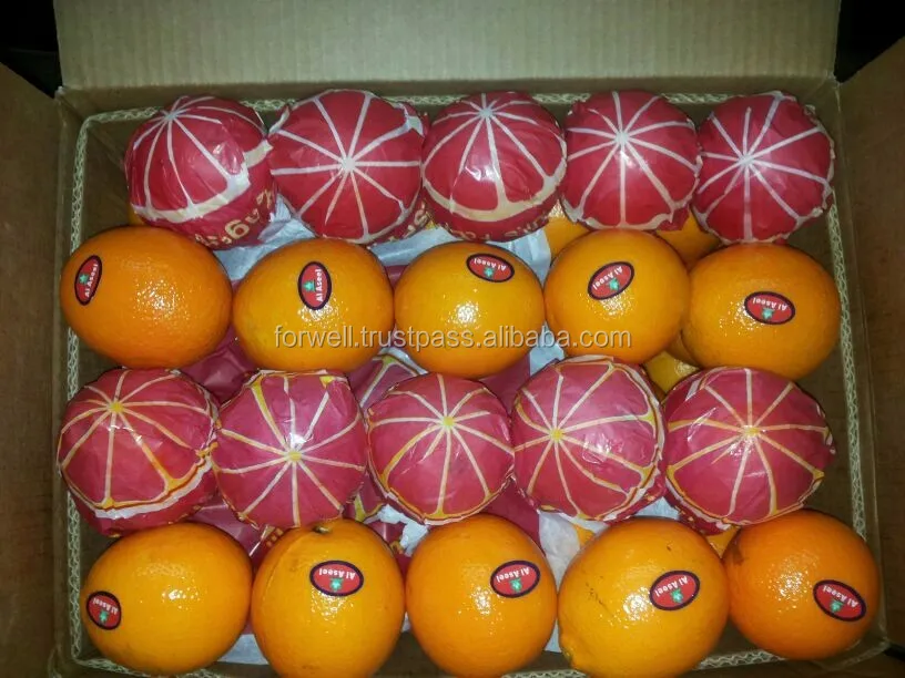 big size orange with high quality and good price with different package