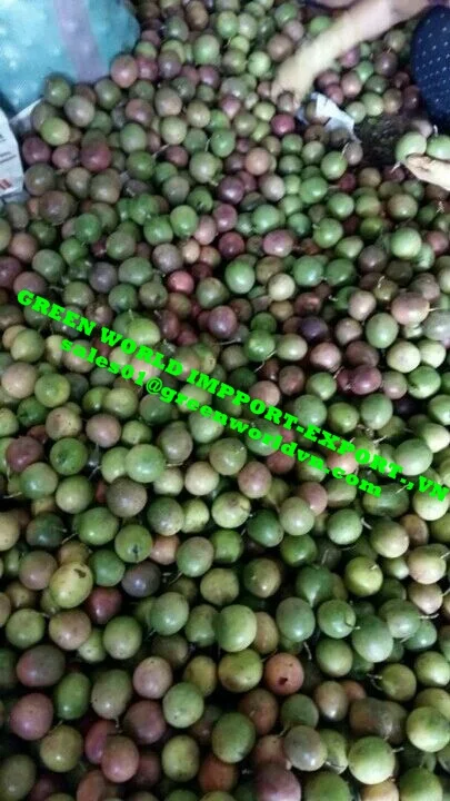 BEST PRICE OF FROZEN PASSION FRUIT FROM VIETNAM