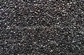 Семена кунжута на экспорт