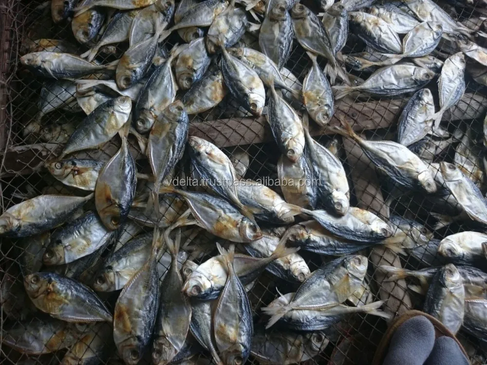 Dried White Sardine - Herring - Excellent