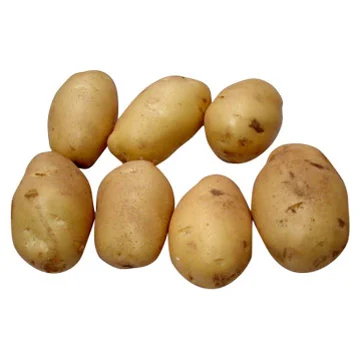 
potato for sale 