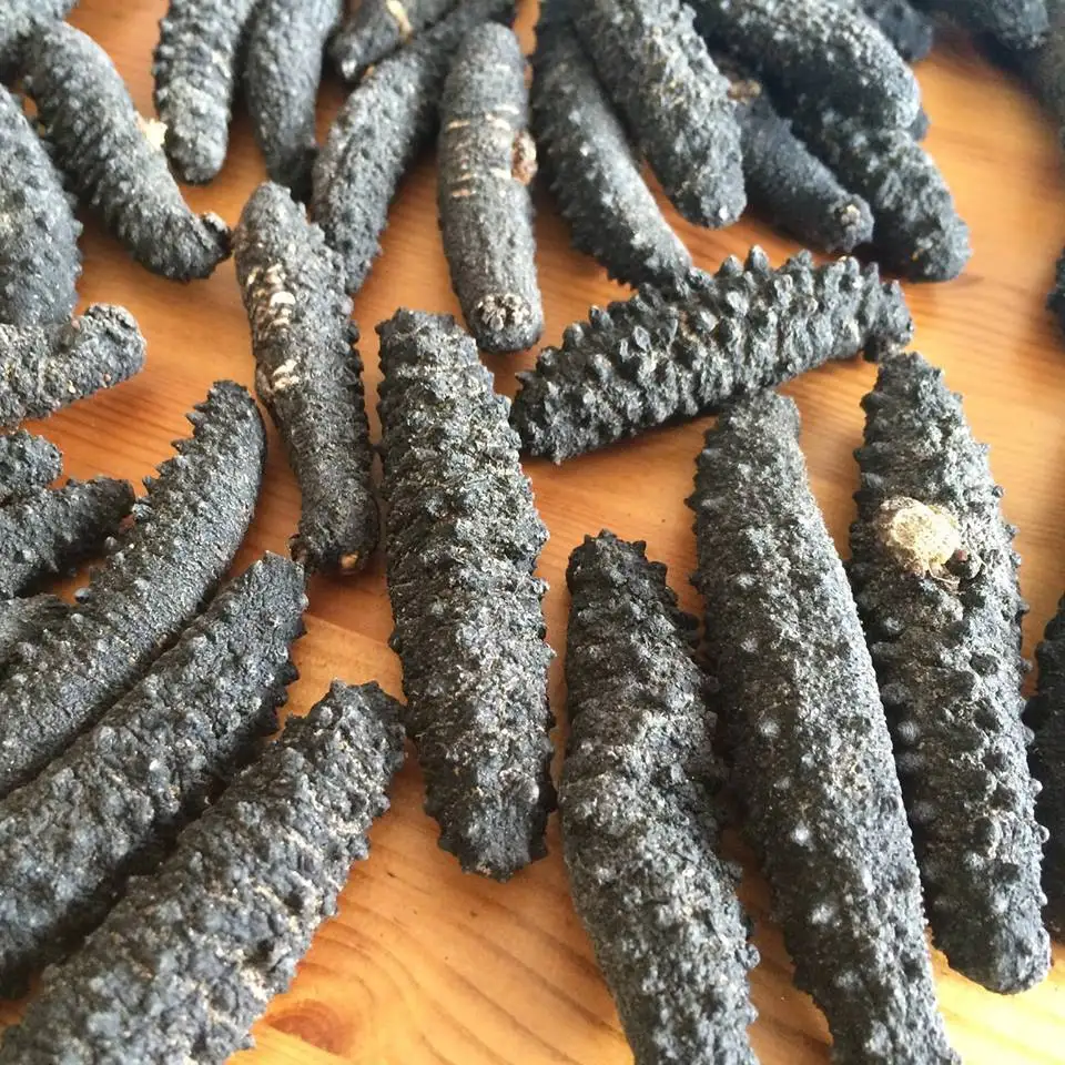 Turkey Dried Sea CuCumber