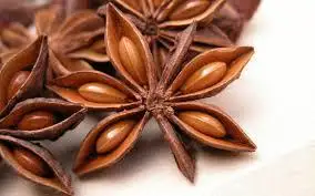2021 Wholesale Viet Nam Factory Supplier Natural star anise Best Quality For Seasoning Harmless Healthy