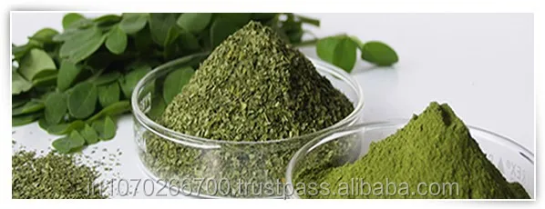 Капсулы моринга