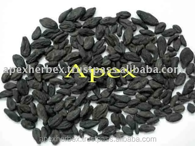 
Whole Fruit Terminalia chebula Black Himej Dried Apex 