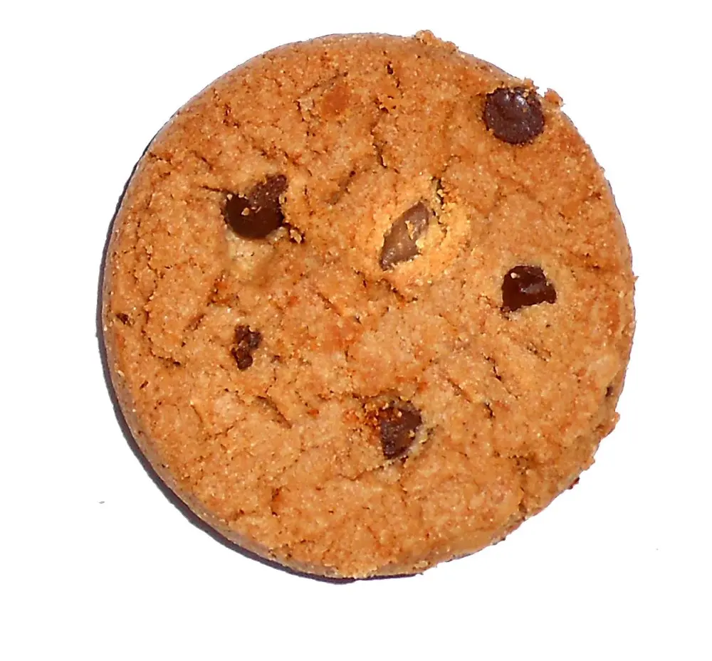 Cookies Biscuits / Oats Cookies / butter cookies