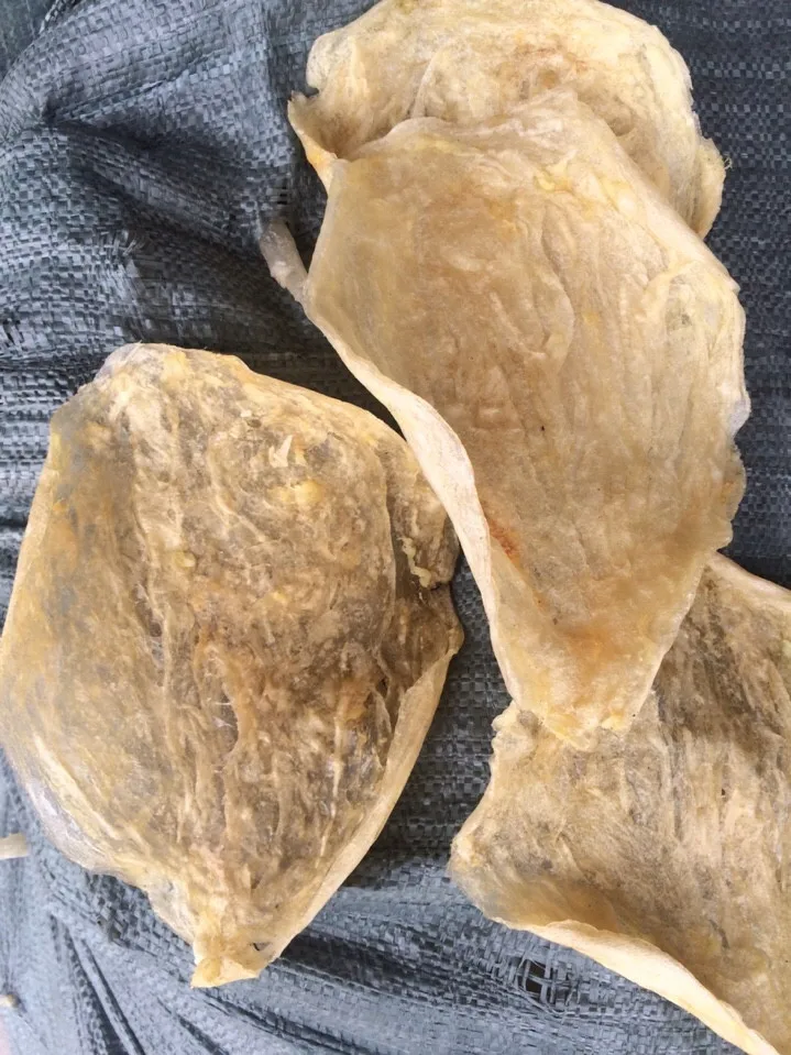 Maw Dry Fish Available in Stock