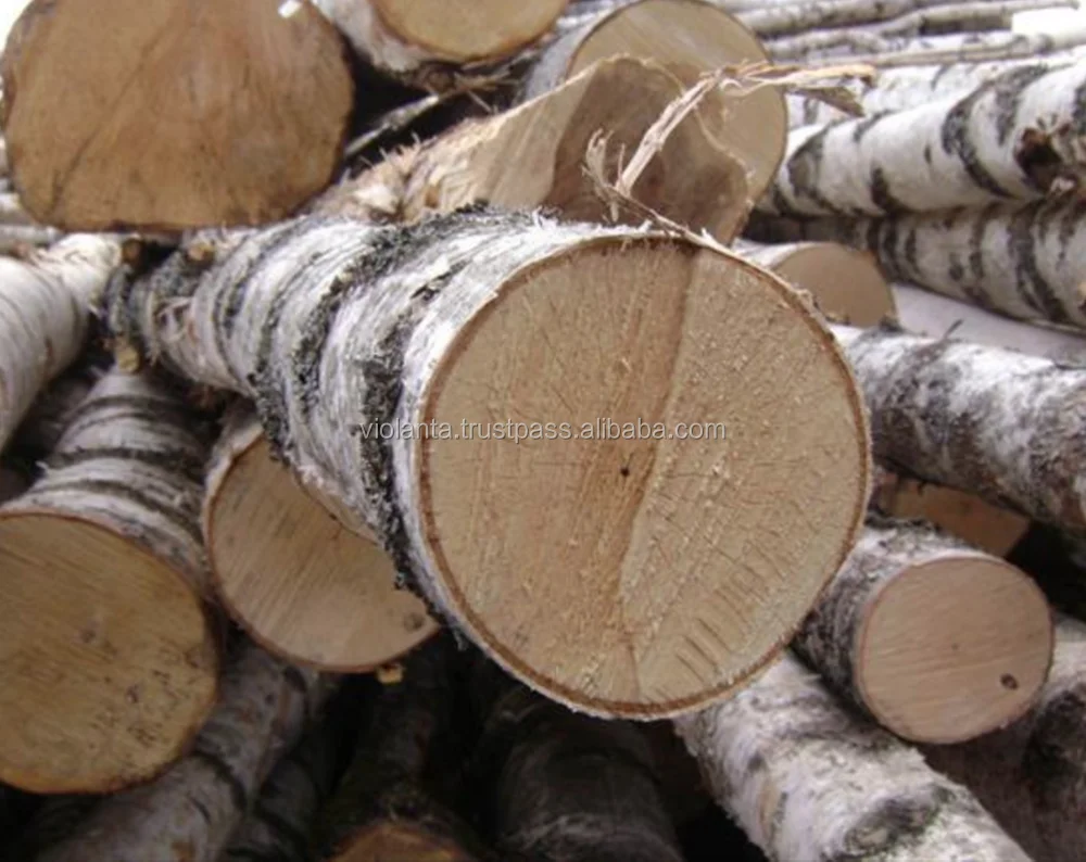 RUSSIAN Timber Log / Sawlogs /Wood round logs lumber /PINE SPRUCE
