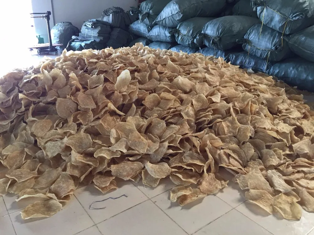 
Dry FISH MAWS TOP QUALITY ORIGIN VIETNAM Bulk Piece HACCP 