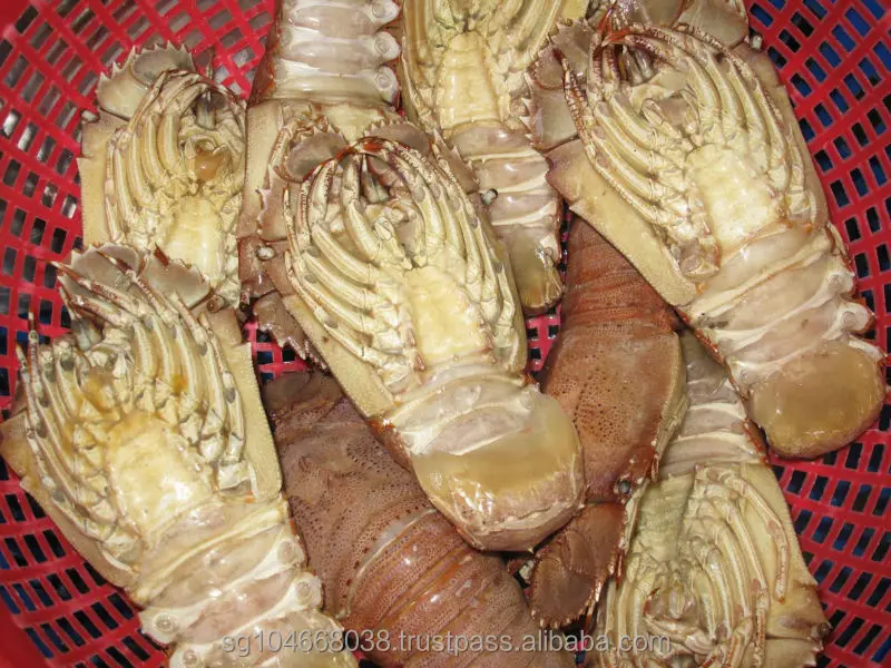  Замороженные тапочки Лобстер