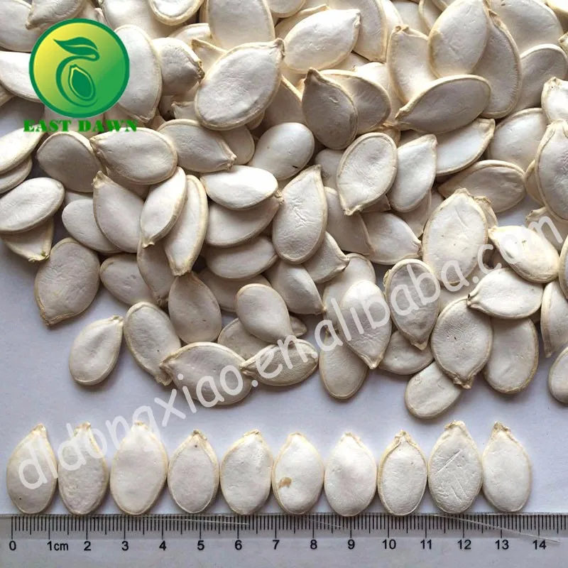 Best Raw Edible Snow White Pumpkin Seeds All Kinds Pumpkin Seeds Buyers