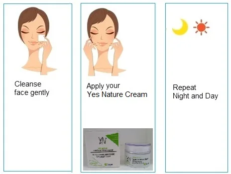 
Olive Oil Camellia Petals Beauty Product Face Cream for Dry Skin and Brightness 