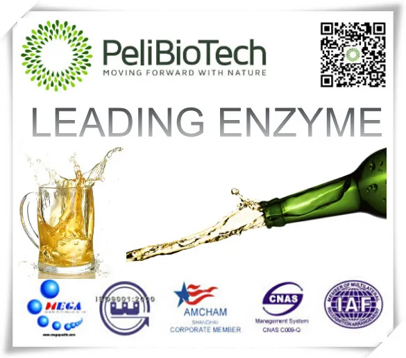 Amyloglucosidase for Beer industry,starch sugar and gourmet powder industry