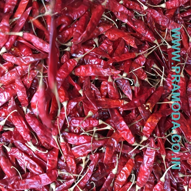 Factory Supply Natural Organic Vietnam Red Chilli in Market Price Best Exporter from India