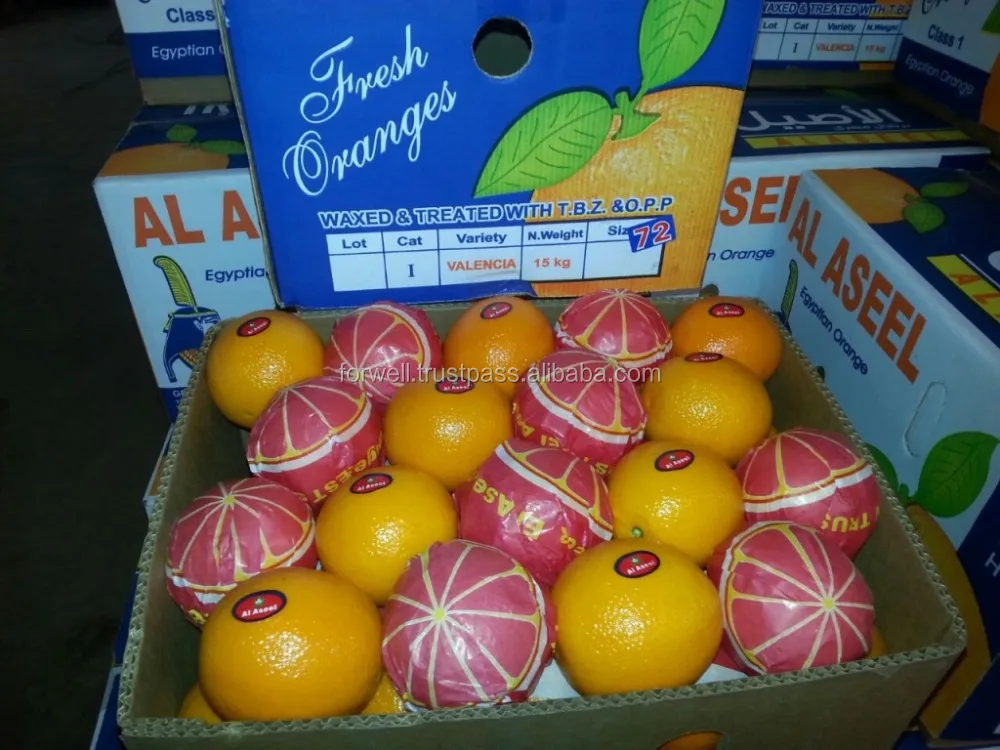 oranges carton weight 15 kg and 8 kg of Navel and Valencia Orange from Egypt