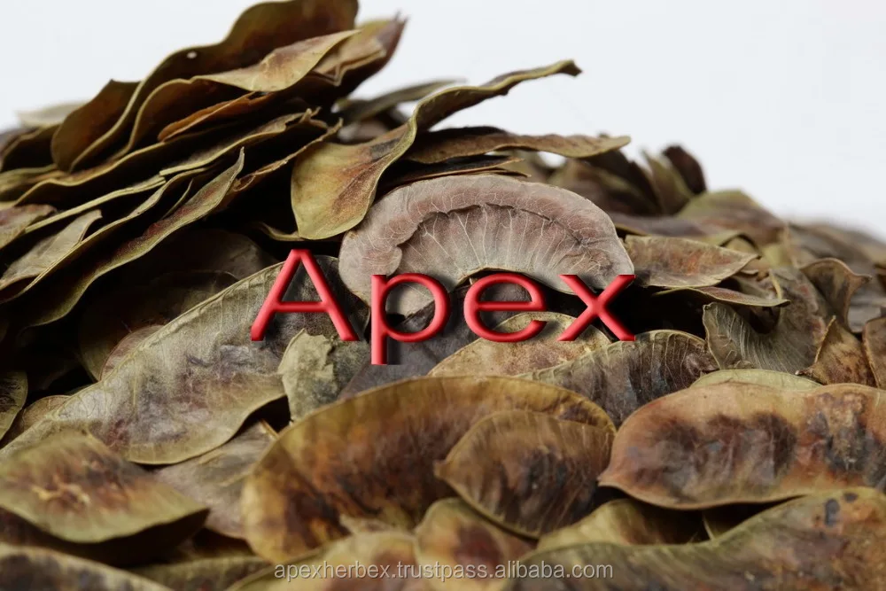 Senna Pod High Quality Senna Pod Cassia Angustifolia Pod TBC whole