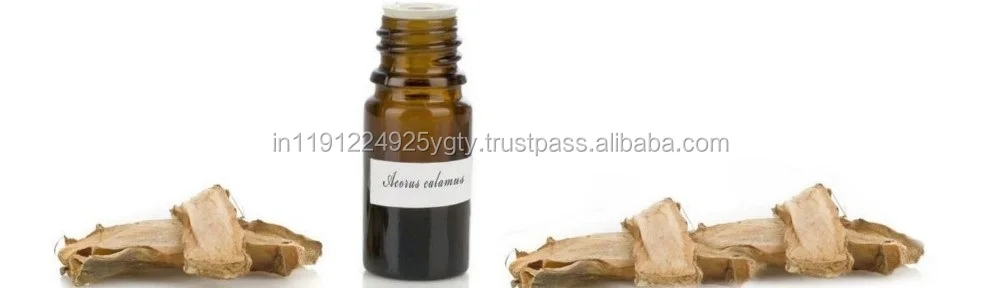 100% Natural Aromatic Essential Oil Calamus Root Oil Best Price Wholesale