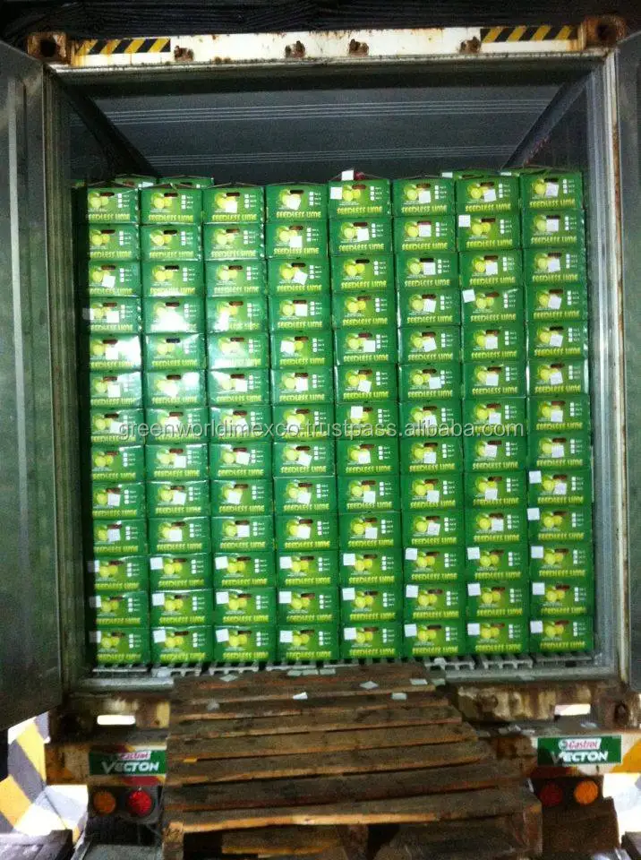 FRESH LEMON IN VIETNAM WITH LARGE QUANTITY