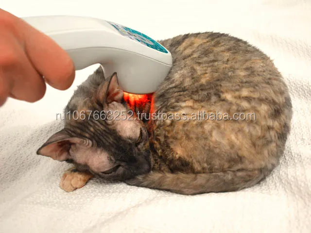 The apparatus of magneto-infrared laser therapeutic RIKTA-VET