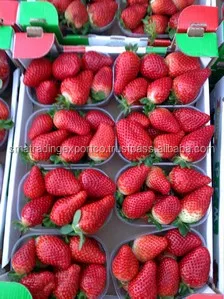 
fresh strawberry 