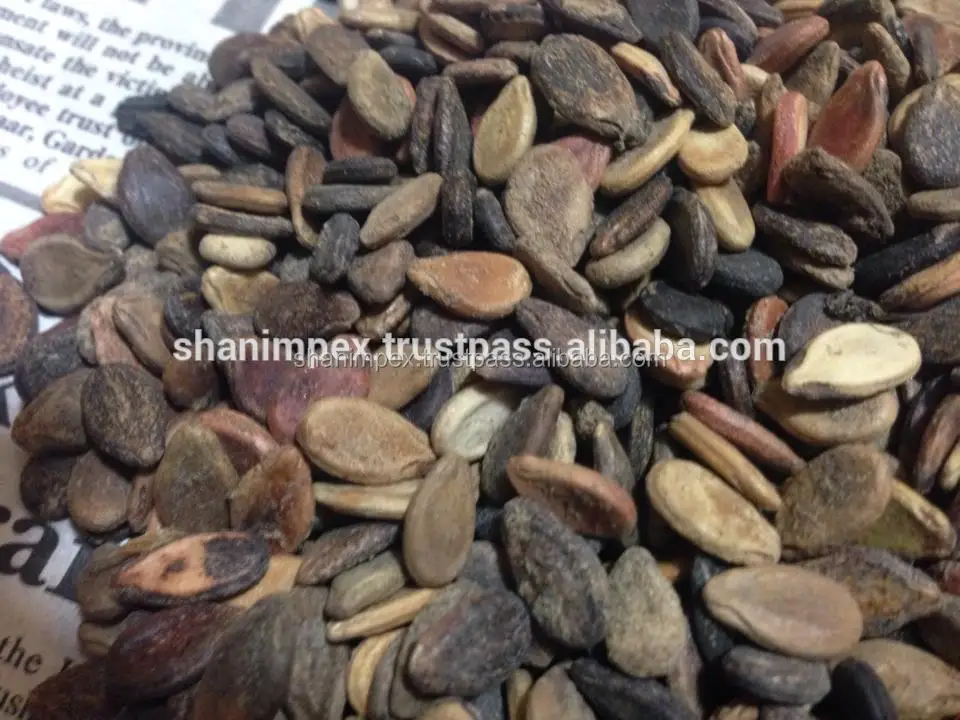 
Agro Commodities Seeds OIL SEEDS 