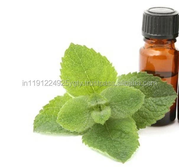 100% Pure Natural Spearmint Essential Oil, GMP, ISO Certified
