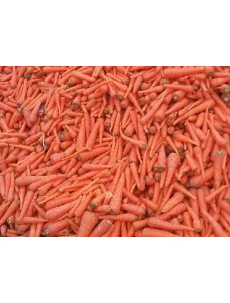 Свежая морковка из Азербайджана