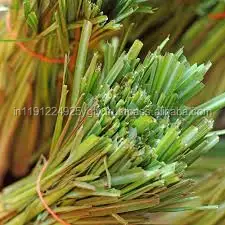 100% pure and natural lemongrass essential oil in bulk private label aromatherapy massage diffusers spa fragrances