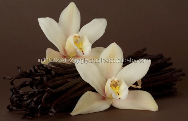 VANILLA OIL / VANILLA ESSENTIAL OIL ( FRAGRANCE OIL ) HIGH QUALITY