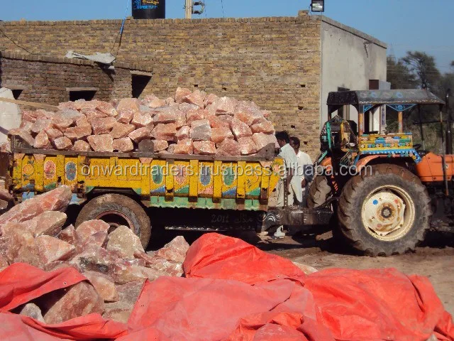 Himalayan Salt Lick - Animal Special