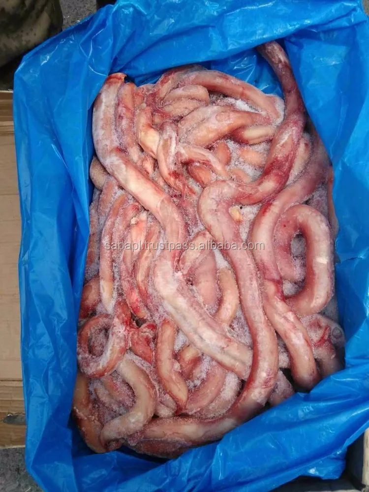 Frozen Beef Pizzle Beef Penis For Sale Cheap Price Poland